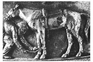 a sythian pad saddle