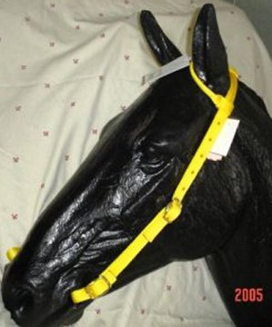photo of modern western one ear bridle on a horse form to show how it is worn